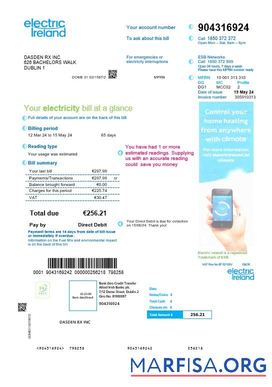 Blank Ireland Electric Ireland business utility bill template in Word and PDF formats